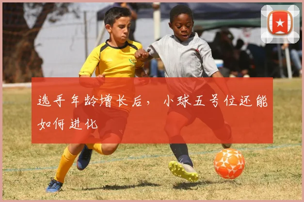 选手年龄增长后,小球五号位还能如何进化