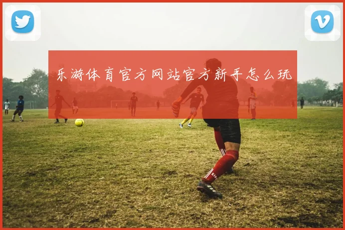 乐游体育官方网站官方新手怎么玩
